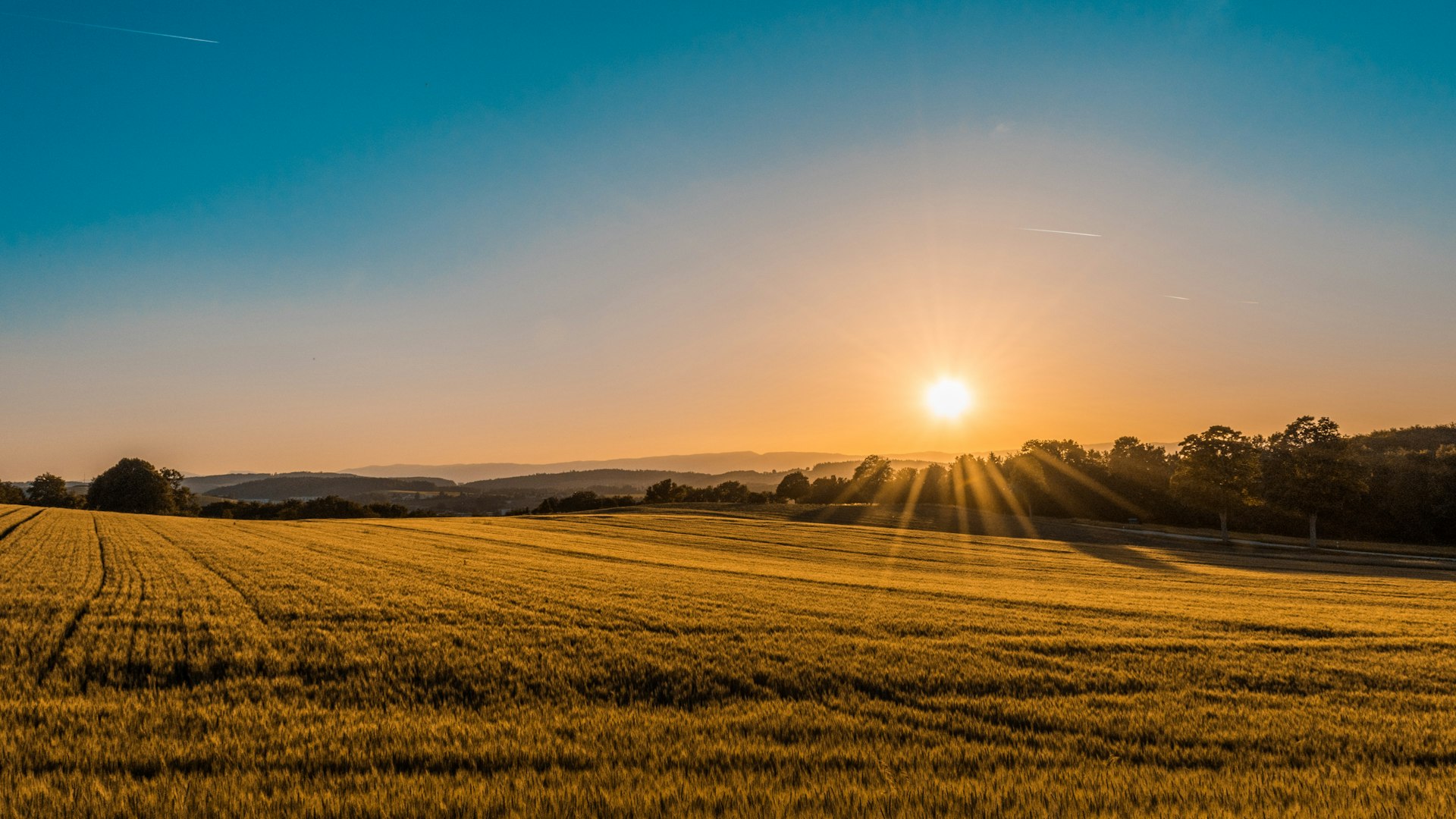 Sunset over a Midwest grain field with sunbeams across the horizon